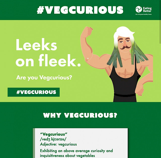 A screenshot of the site showing the 'Leeks on Fleek' catch phrase and a cartoon of a buff man with hair made of leeks.